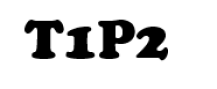T1P2